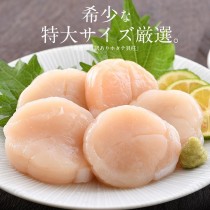 北海道生食級干貝(2L)